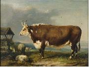 Hereford Bull with Sheep by a Haystack James Ward